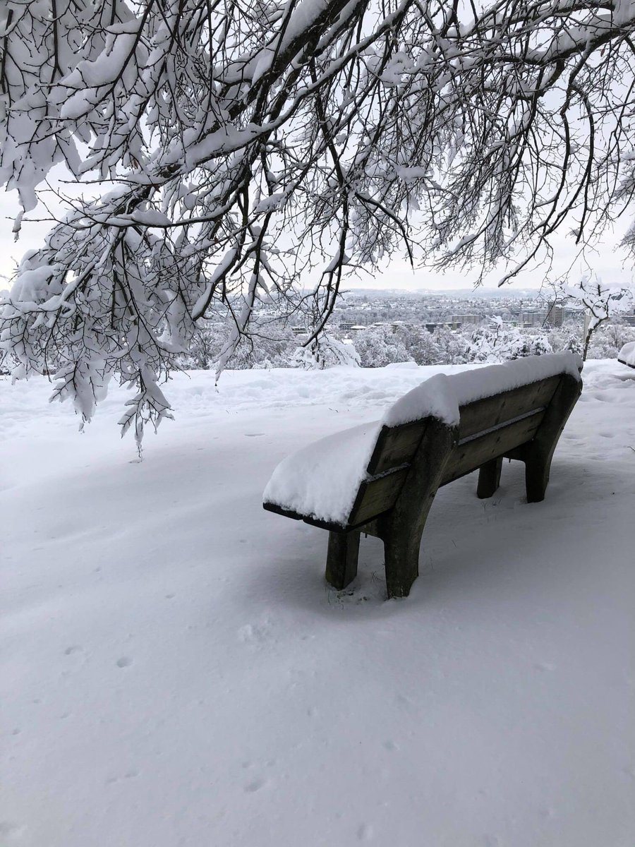michelfornasier's tweet photo. Goldmarie meinte es gut.
#PleaseHaveASeat https://t.co/ex28qgaHly
