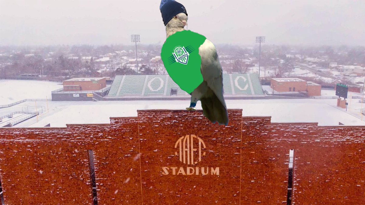 OKCforSoccer's tweet photo. The American Racing Pigeon Union and American Pigeon Museum (they are both real and both in OKC look it up) have agreed to help us broker a deal to save #JoeThePigeon. https://t.co/cq3F94VXC8