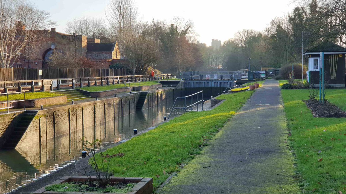 Romney Weir tweet media