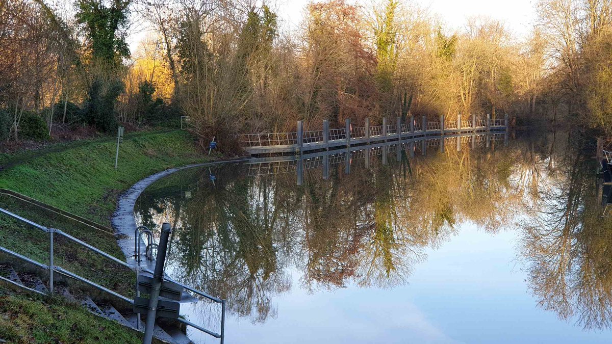 Romney Weir tweet media