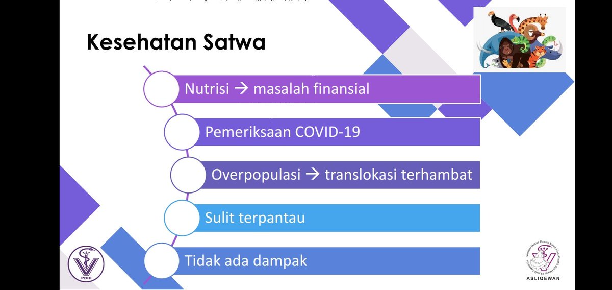 Untuk kesehatan si satwa ternyata banyak dampak..ada yg krn masalah finansial jd berpengaruh di kesehatan mereka karena keterbatasan asupan nutrisi, pemeriksaan COVID-19 di satwa mereka, overpopulasi karena satwa ga bisa lepasliar-->ini bahaya bisa memicu sebaran penyakit