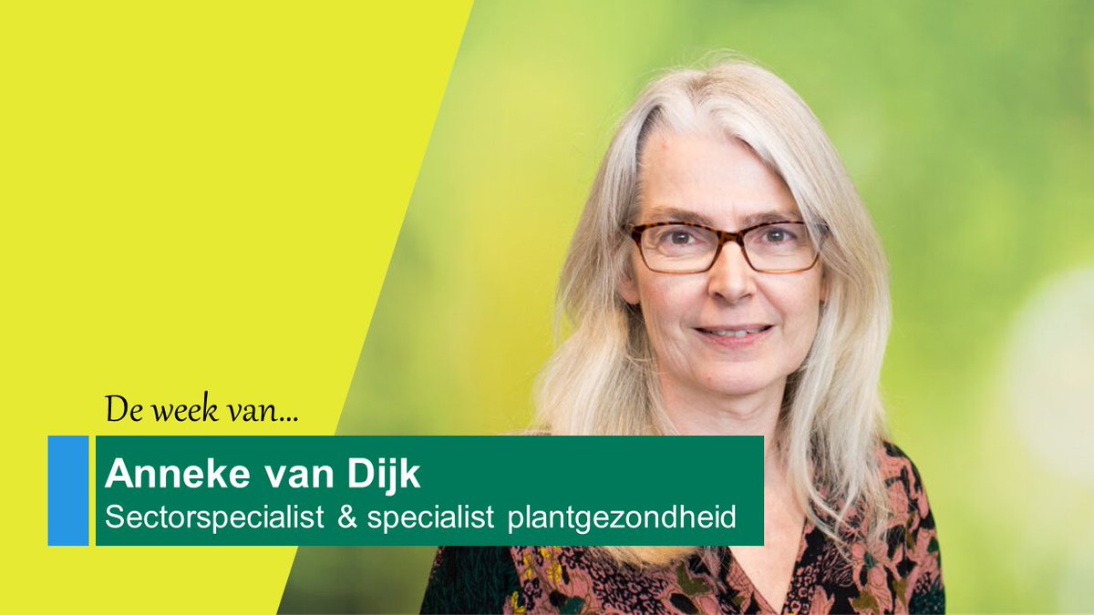 LTO Nederland tweet media