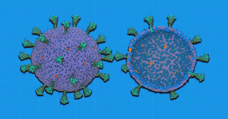 Scientists Create First-Ever Computer Model of Entire COVID-19 Virus

interestingengineering.com/scientists-cre…

#Servca #LloydsofLondon #InsuranceBroker #LloydsBroker #MedicalMalpractice #ProfessionalIndemnity #GeneralLiability #MedicalNews #MedicalScience #MedicalIndustry