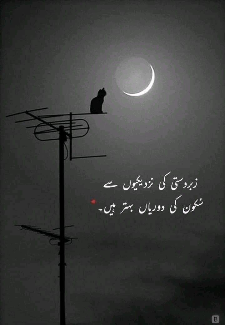 Azharshar16's tweet photo. Bilkul https://t.co/xGKySKYk74