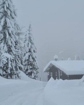 EryP8DLXMAAPCxD?format=jpg&name=360x360