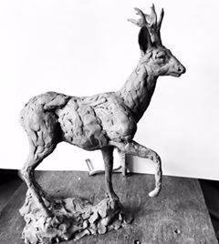 ElliotChanner's tweet image. #roebuck #clay #sculpture #wildlifeartcollector #wildlifeart #deer #deersculpture #sculpturecollector #interiordesign #clayforbronze #dailyart