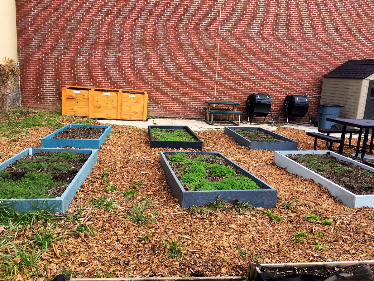 The_GreenLife's tweet photo. Peace from the Downtown community garden ! 🌱 

Aren’t our new EcoP garden beds so pretty ?!!! Made of 100% recycled plastics &amp; non-leeching

#TheBigGreenProject https://t.co/WM7rjw4fmY