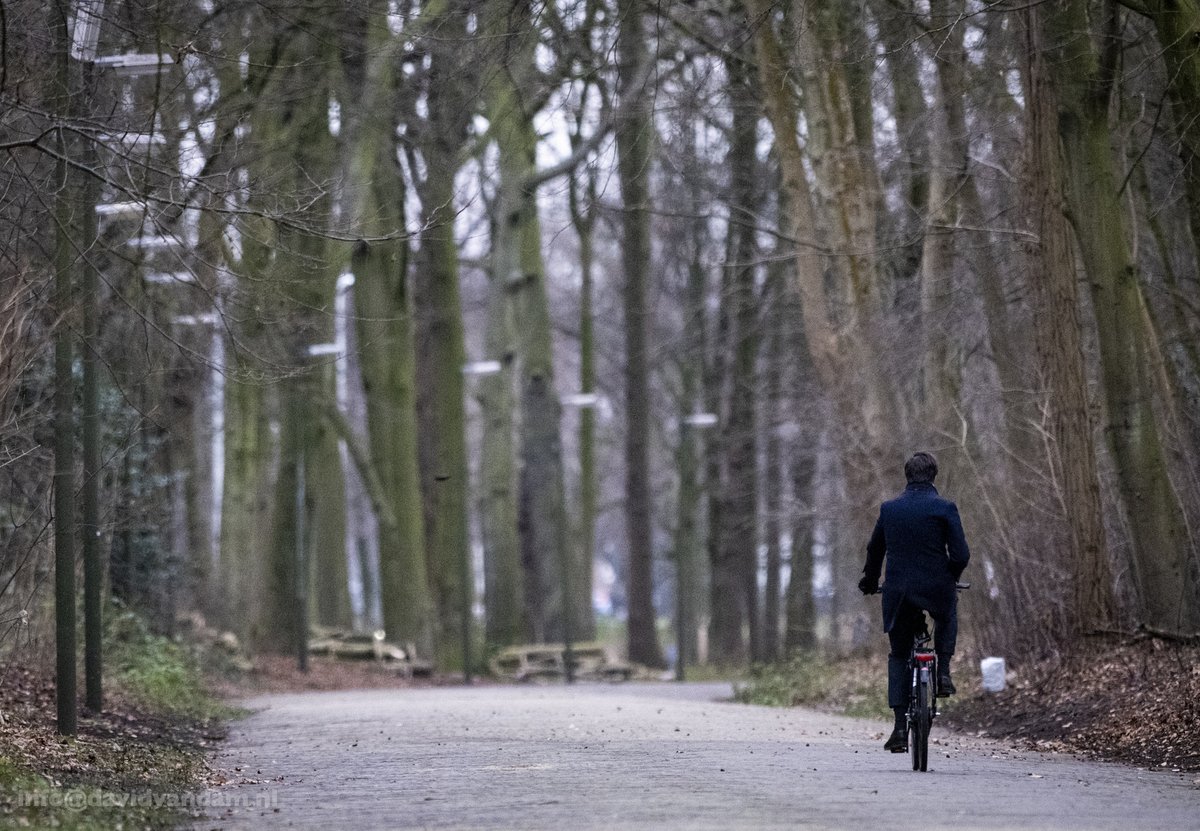 Na zijn ontslag ingediend te hebben bij de koning, fietst <a href="/MinPres/">Dick Schoof</a> Mark Rutte door het bos terug naar het Binnenhof.