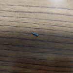 一体どこから･･･!くしゃみをしたら何故かネジが飛び出してきた？!