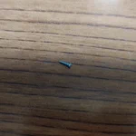 一体どこから･･･!くしゃみをしたら何故かネジが飛び出してきた？!