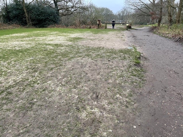 WimPutCommons's tweet photo. Visitor Information:  If you are walking on the Commons during lockdown, please help us prevent any further damage to the golf course...... https://t.co/K5rUq674li https://t.co/t7ND8G9F9c
