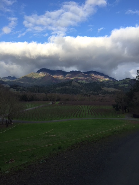 Knights Bridge Winery tweet media