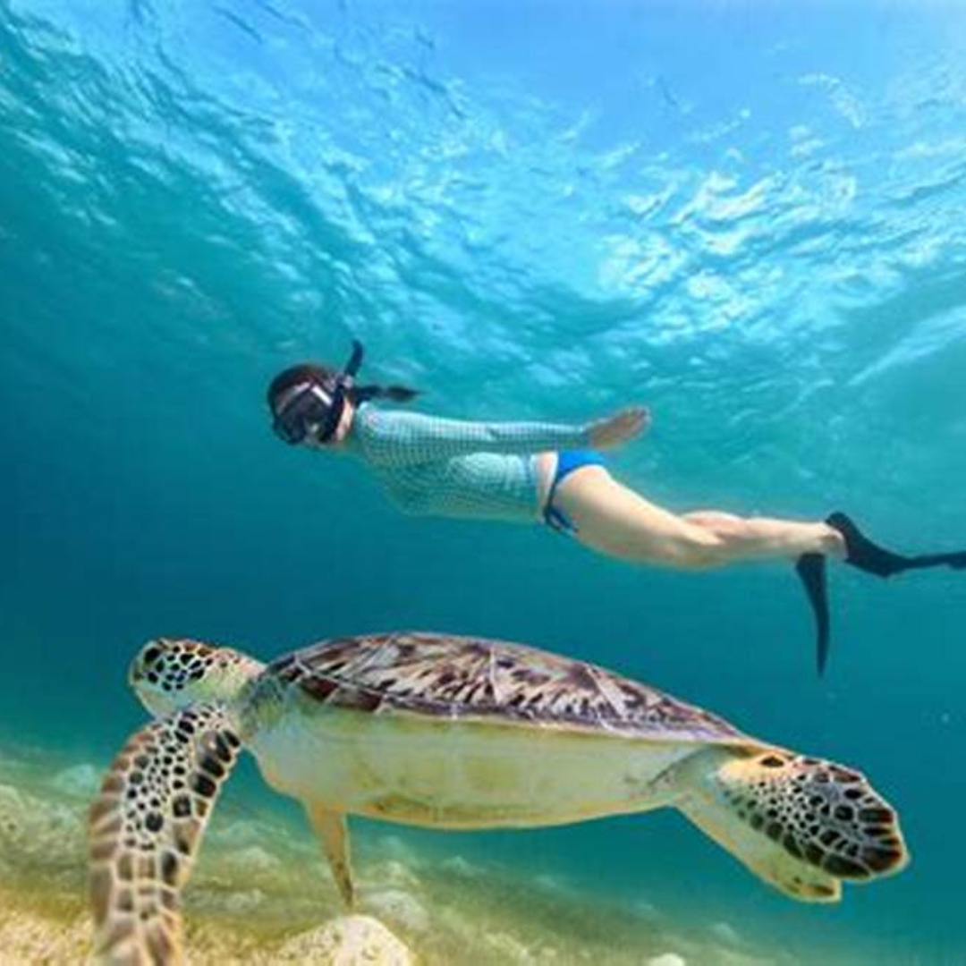 GoldrushTravel's tweet photo. Home to everything from volcanoes, jungles and deserts and beaches, Mexico delivers outdoor and urban adventures of all kinds. 
#MexicoTravel #Cruises #Adventures
https://t.co/aDOxyIu4ZQ https://t.co/YxIW1p9Zua