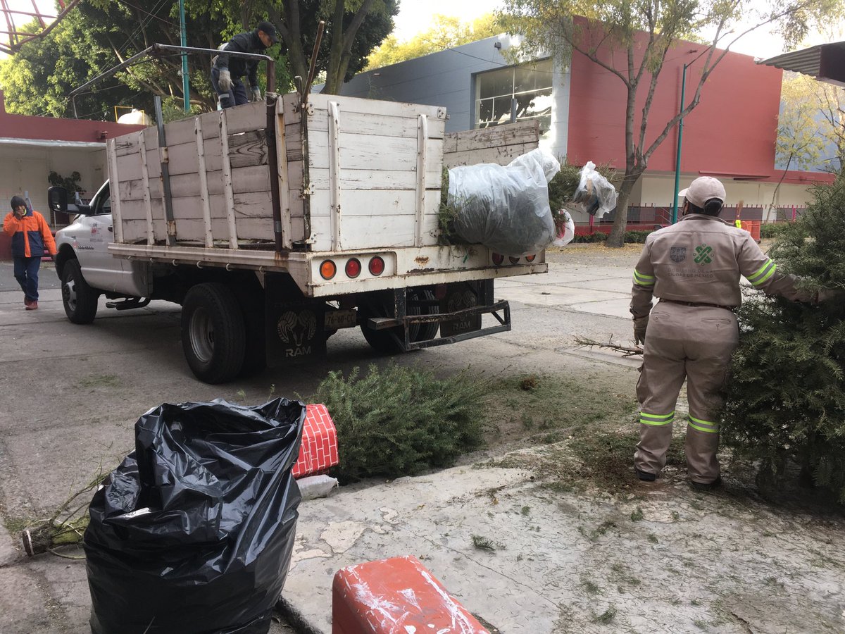 fotojbarrera's tweet photo. Acopio de árboles navideños para reciclaje muy bueno!!! ⁦@AlcaldiaMHmx⁩ ⁦@vromog⁩ ⁦@salazarsandra⁩ @cdmx https://t.co/S0vhezrNCZ