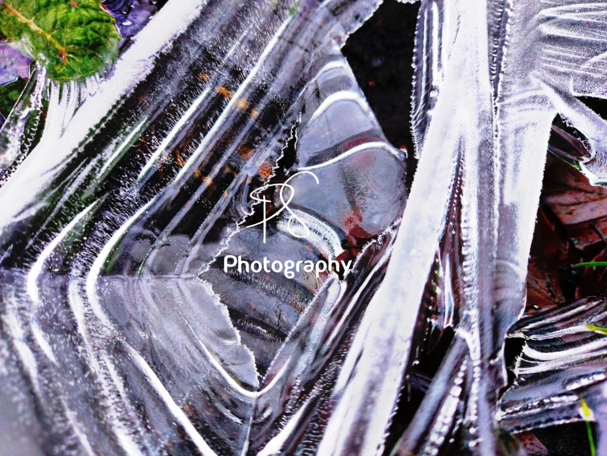 Paige Starkings tweet media