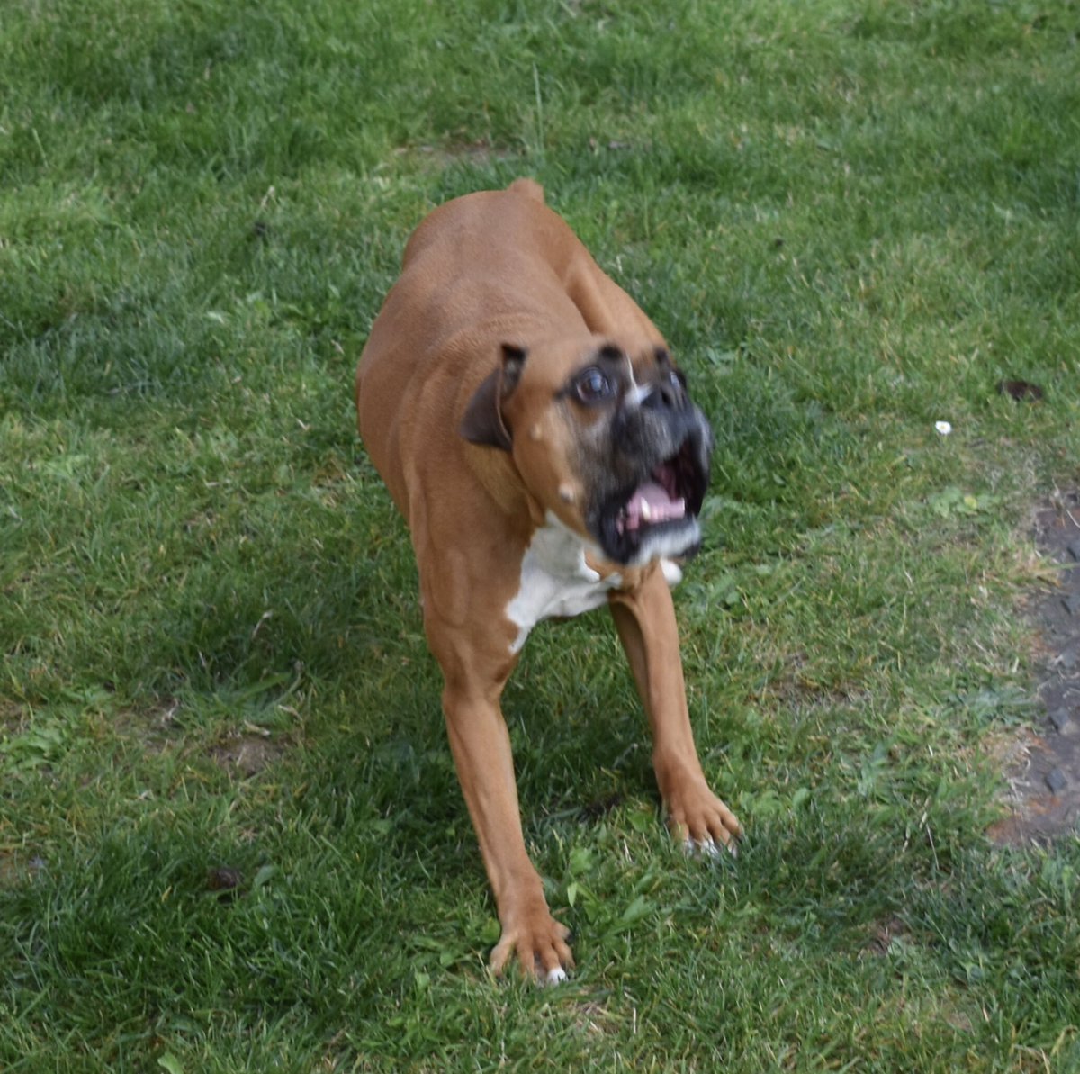 Less than 12 months to finish the PhD feels like...