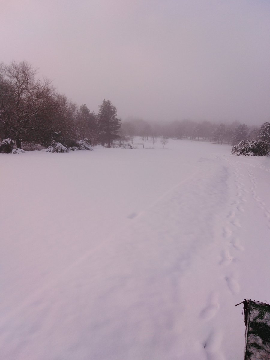 Worksop Greens tweet media