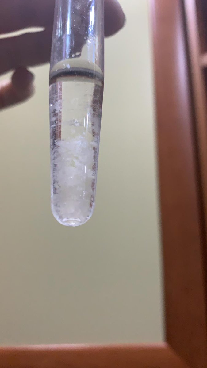 @ituetabucadoga Fen ve Teknoloji Lisesi 10. Sınıf öğrencilerimiz #Genetik dersinde DNA saflaştırma deneyi yaptılar. #Biyoloji dersi deneylerle daha güzel... <a href="/Ozgukryrr/">Özgü Onur</a> <a href="/KilicozMuhammet/">Muhammet Kılıçöz</a> <a href="/KvancBarlas/">Kıvanç Barlas 🇹🇷</a> <a href="/DogaOkullari/">Doğa Koleji</a>