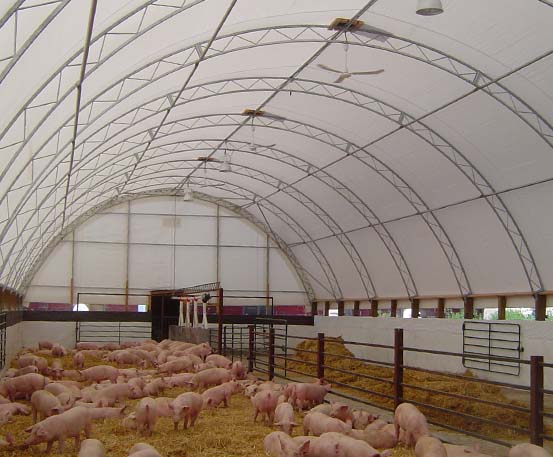 Making use of the space inside Tasco’s fabric buildings. These little guys have certainly found themselves a comfortable home for winter.