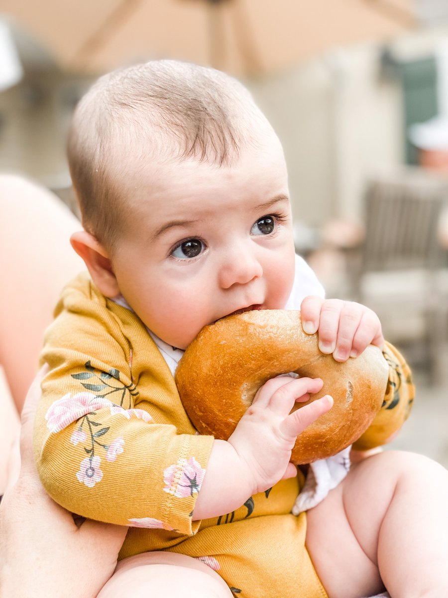 cre8capture's tweet photo. In honor of #NationalBagelDay, I wanted to #flashback to this sweet photo of Haley getting her first taste of the GLORY that is a bagel 🙌🏻 This photo was taken back in September when this little one was still new to solids. How time flies! Happy #Bagel Friday my friends! https://t.co/pqrJJmsuBj