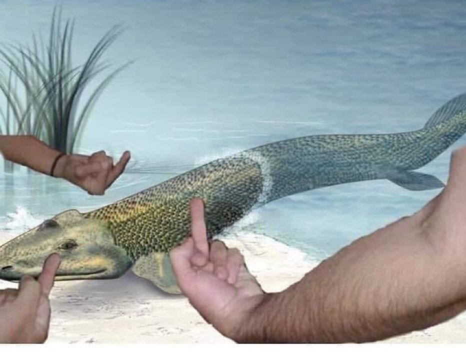 this asshole fish decided to walk out of the water one day and now i have to go to work and pay rent