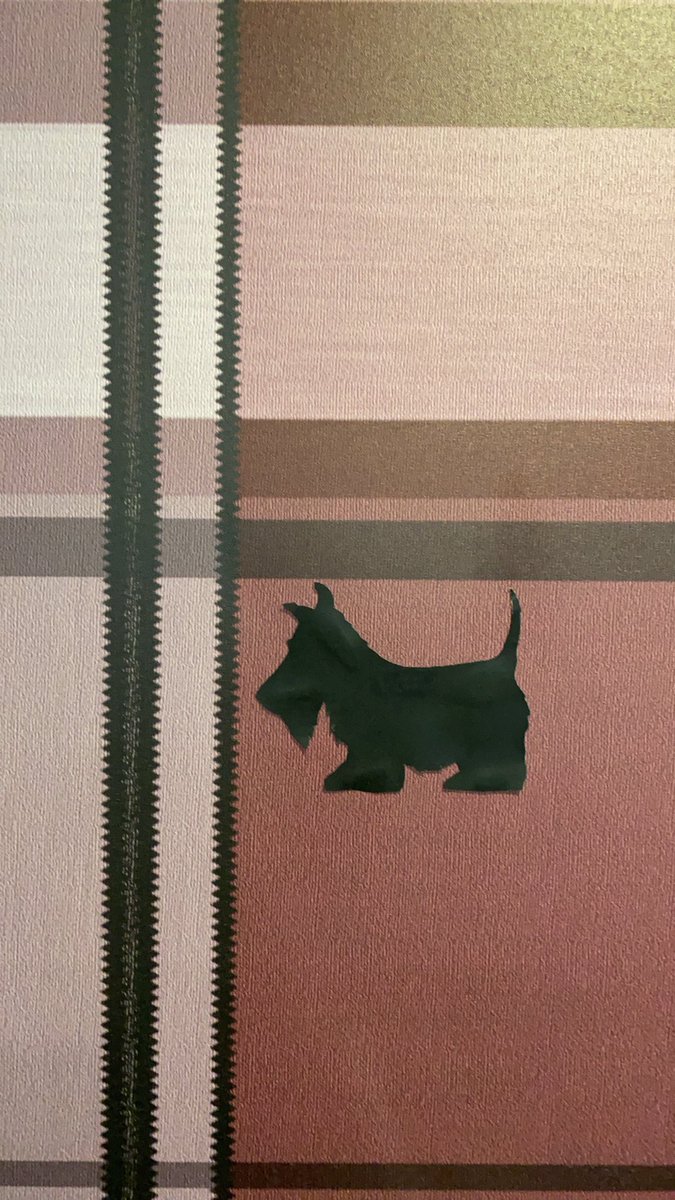 WDSS_Library's tweet image. You can also find the Netflix Friday summary on Instagram @the_plaid_librarian