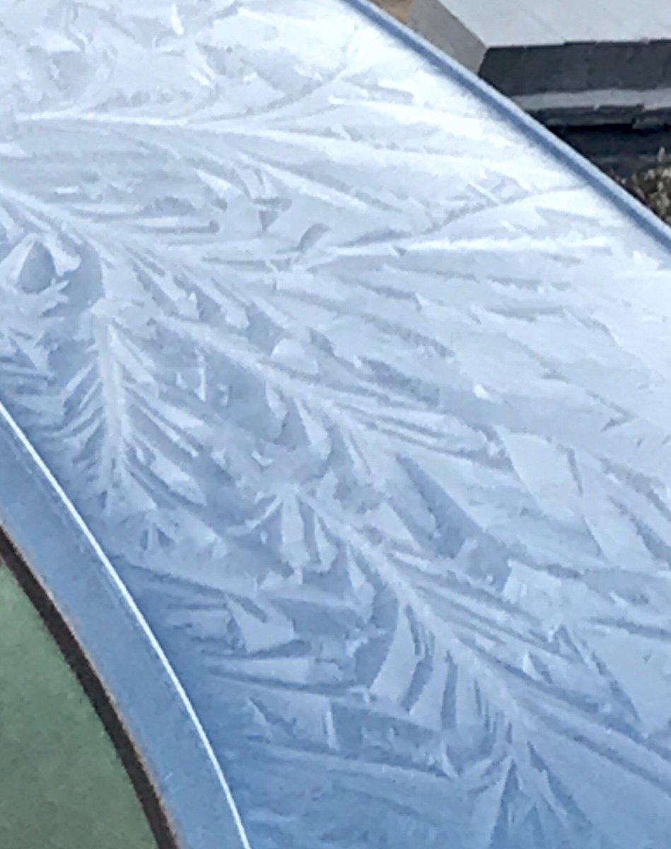 baruamanoshi's tweet photo. Nature’s amazing artwork on the roof of my car this morning #weather #nature #bbcweather https://t.co/lr0GlGPFmY