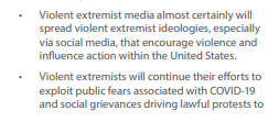 And what might they do? "Spread violent extremist ideologies, especially via social media, that encourage violence and influence action within the United States.""Exploit public fears associated with COVID-19""Driving lawful protests to incite violence . . ."11/
