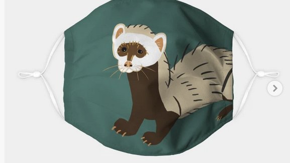 BeletteLePink's tweet photo. Do you need a #facemask?
Find yours on the @BeletteLePink shop
Save 20% OFF on #fabricmasks at @TeePublic 
#apparel #wearamask #valentinegifts and #animals
#belettelepink #teepublic #independentartists #cat #giftidea #ferrets #wildpig #mamooth #kids
https://t.co/kXdAc6FKoN https://t.co/rY3JEiI9Ei