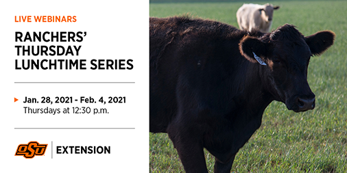 okstate_ag's tweet photo. Rancher's Thursday Lunchtime Series
📆: January 28
⏰: 12:30 p.m.
📍: Online
🔗: Registration, https://t.co/kIoTQuGq46
🔗: More information, https://t.co/H2ATlxzS7L https://t.co/rix9cmOohv
