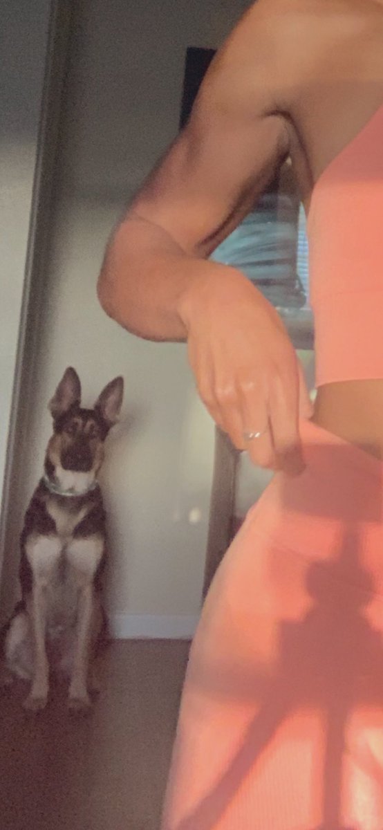 gittens_tyra's tweet photo. My dog is my BIGGEST fan... https://t.co/AwgIGgfpGL