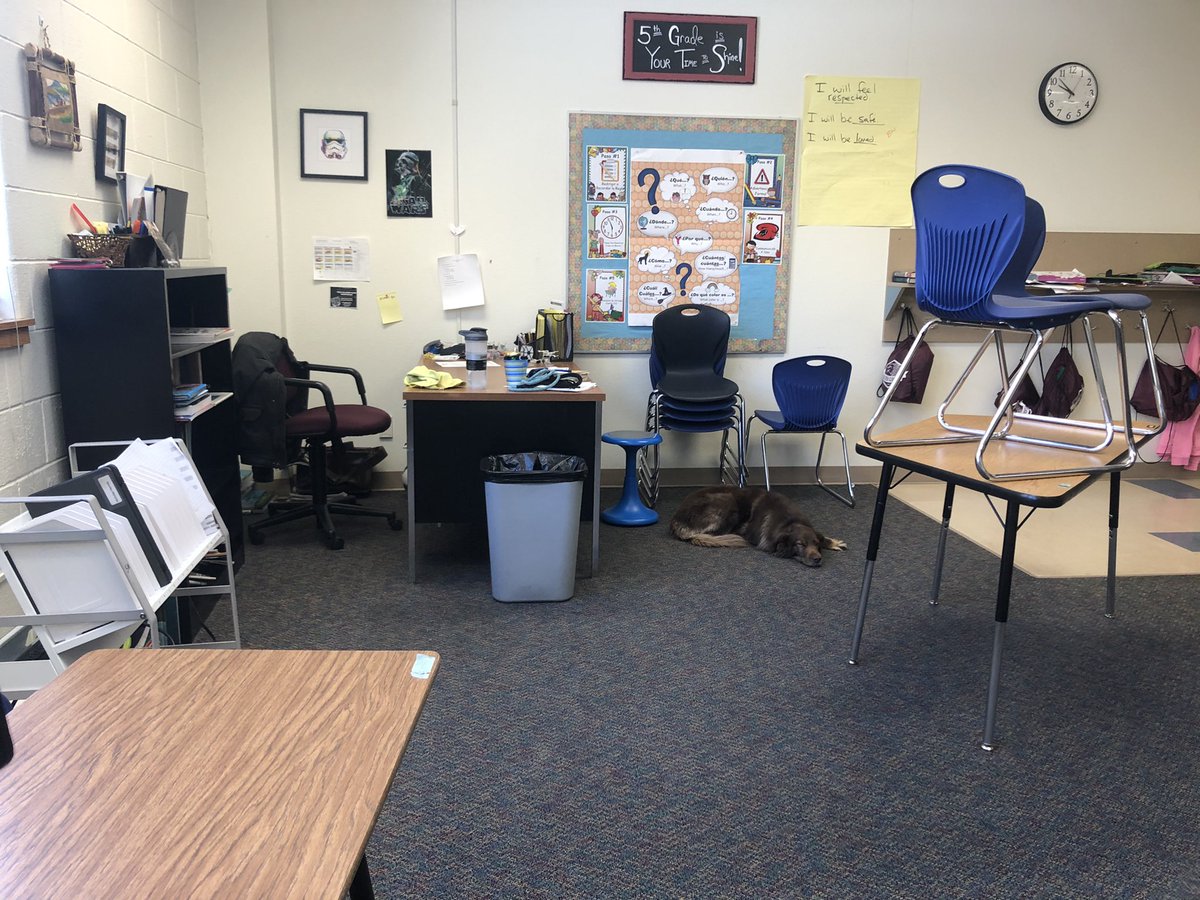 jaminwestby's tweet photo. My classroom assistant has fallen asleep on the job. I’m contemplating firing her.
#slacker #gradingday https://t.co/xIEJMQklFe