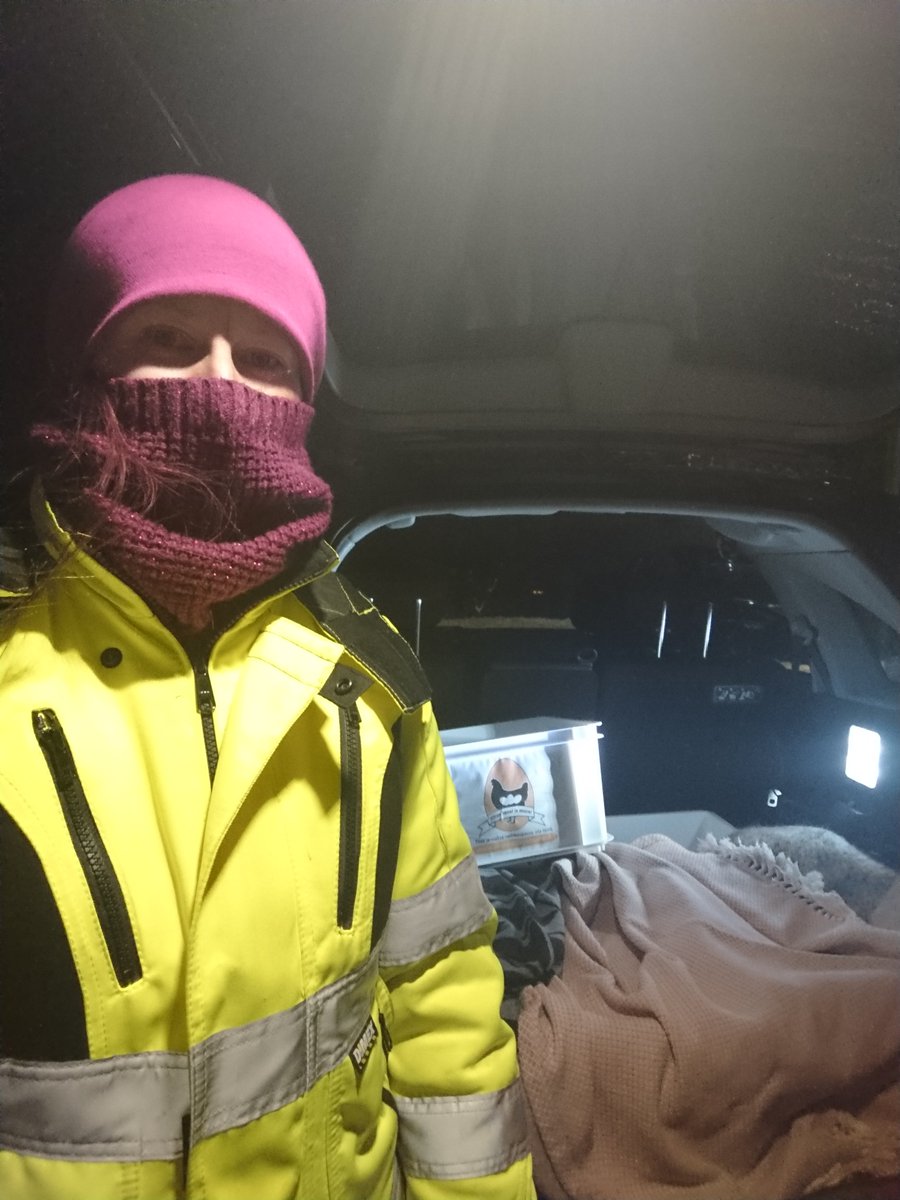 Eilisen illan Rekoissa olikin varsin rapsakka ❄ keli - 18C. Villa vilttejä oli monta suojaamassa munia jäätymiseltä. Pitäkää huolta munistanne, ettei ne men pilal.