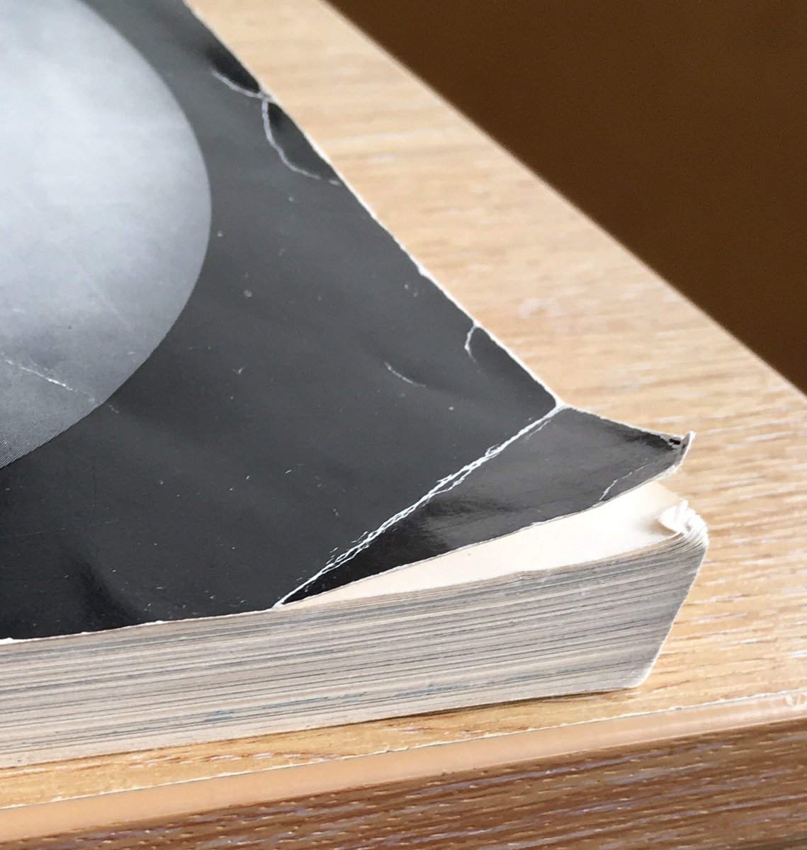 captainofmyalma's tweet photo. yeah paperbacks are nice to hold when you’re reading it. but their lifespan?? nonexistent. you read the book once and then they look like this forever: https://t.co/GBU194Y0Yf