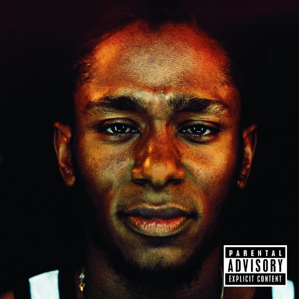 1999: Black on Both Sides - Mos DefA masterful hh album, truly one of the best I’ve ever heard. Yasiin Bey one upped his collab project black star on this solo effort imoFave tracks: new world water, ms fat booty, know thatHm: Things fall apart, the slim shady lp