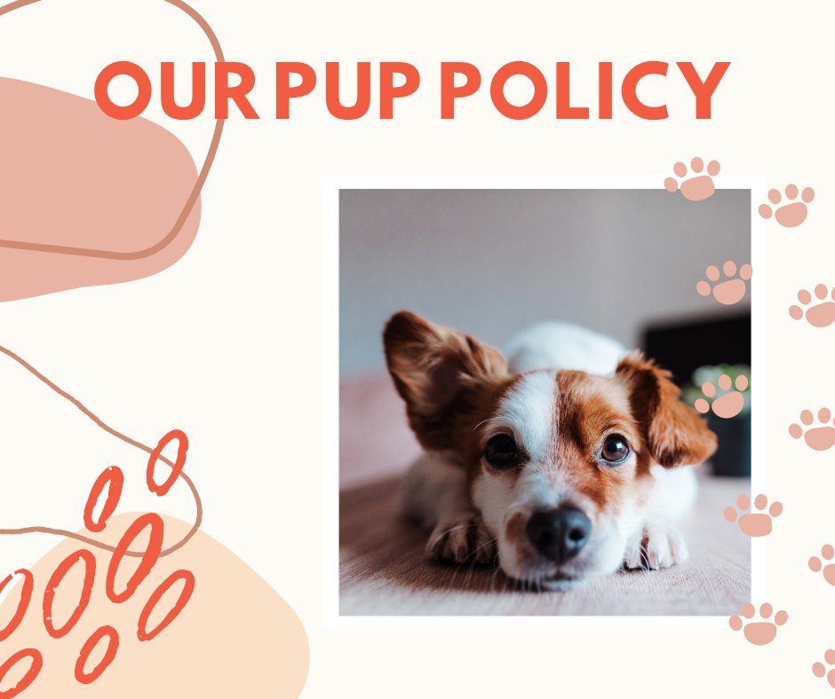 WeidaApts's tweet photo. We love our pups here at Weida! But before you decide to bring your furry friend to campus, make sure to reference our guidelines to make sure we can provide the best living experience for the both of you:

https://t.co/wrOg76ugPj https://t.co/510IKkuIiI
