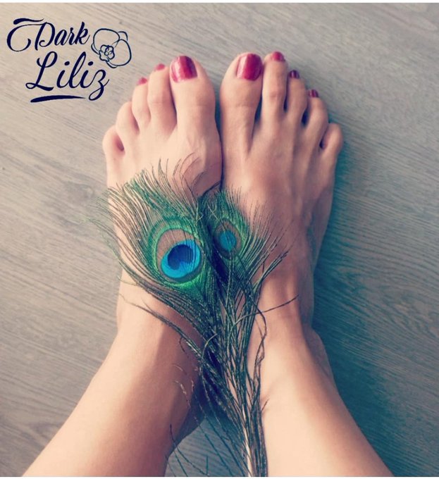 I'm that kind of person that hate when someone tickles me, but at the same time I like it 🖤  #tickle<a href="/tag/sexy"class="tags"><span>#sexy</span></a><a href="/tag/feet"class="tags"><span>#feet</span></a><a href="/tag/feetlovers"class="tags"><span>#feetlovers</span></a><a href="/tag/toes"class="tags"><span>#toes</span></a><a href="/tag/prettyfeet"class="tags"><span>#prettyfeet</span></a><a href="/tag/barefeet"class="tags"><span>#barefeet</span></a>