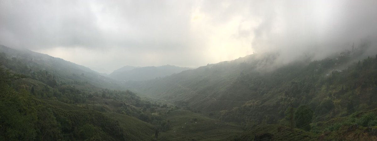 Joe Panter tweet media