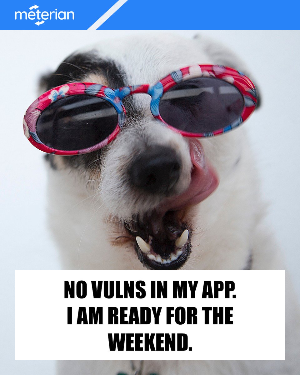 MeterianHQ's tweet photo. Are you ready for the weekend? We are. With automated vulnerability checking, no worries! #meterian #tgif #meme #cybersecurity #opensource https://t.co/R9mkQsjFeV