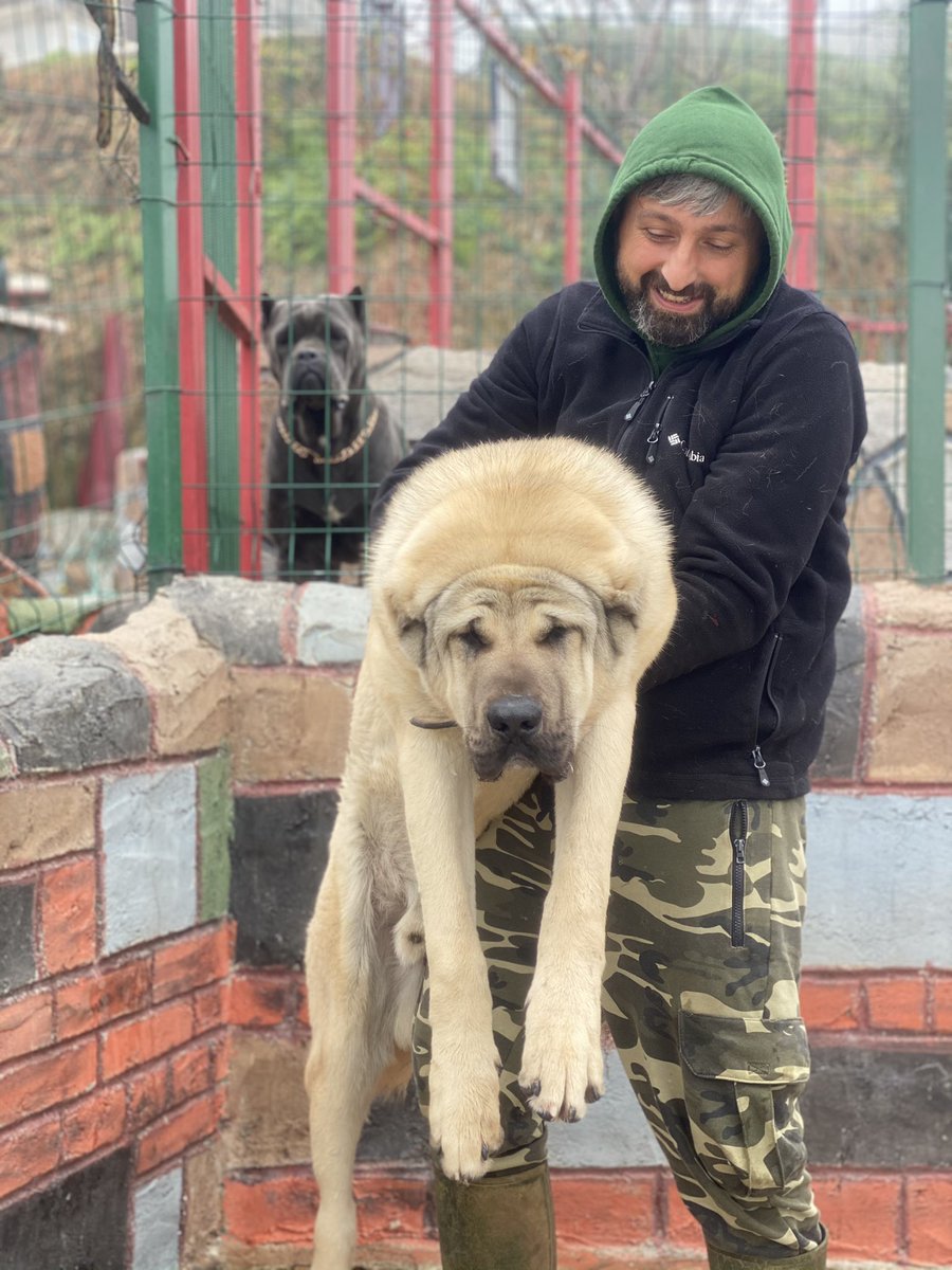 YENİ KÖPEĞİMİN BOYU KAÇ CM ? youtu.be/1zLwxp8WSi0 <a href="/YouTube/">YouTube</a> aracılığıyla