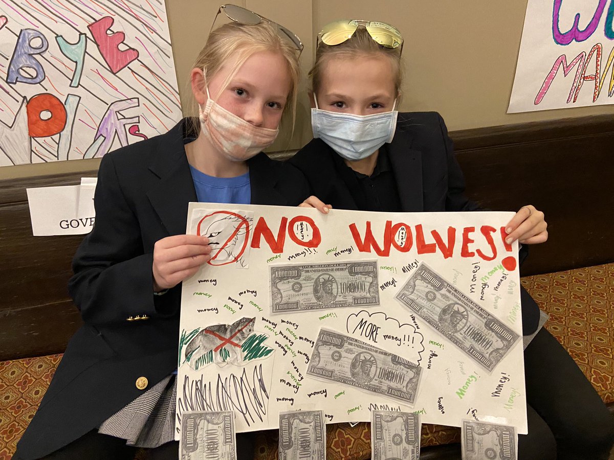 hutchisonms's tweet photo. Our 5th grade scientists are running a town hall meeting today. In character as ranchers, hunters, government officials, and more, they'll debate issues around wildlife, environmentalism and sustainability. What a fun way to explore real-world issues! #girlswholead #hutchms https://t.co/65xpBLSCBy