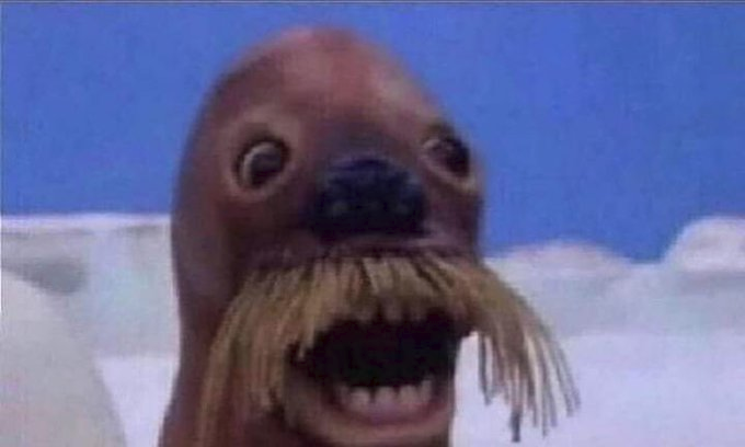 beansm00thie's tweet photo. Steve Harvey: Name something you can suck on
Contestant: pee pee weiner lol
Steve Harvey: https://t.co/8O3hUqcQMD