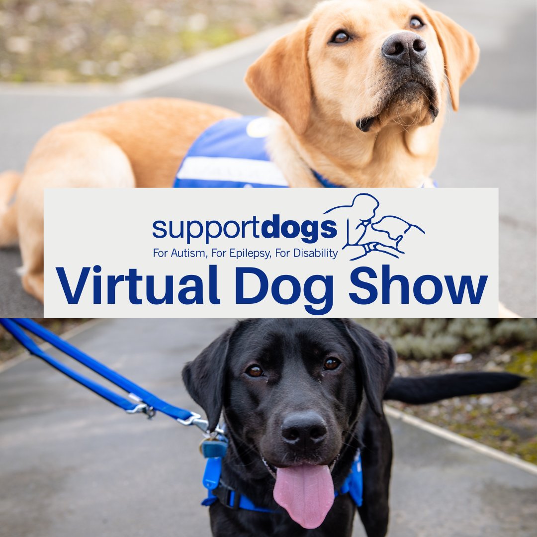 supportdogsuk's tweet photo. Our virtual dog show is back! This week we are looking for happiest smile! If you are proud of your pooch enter them today! https://t.co/J2fIA4MyuG
#fridayfeeling #virtualdogshow #dogsoftwitter https://t.co/cYkbeXgyqZ