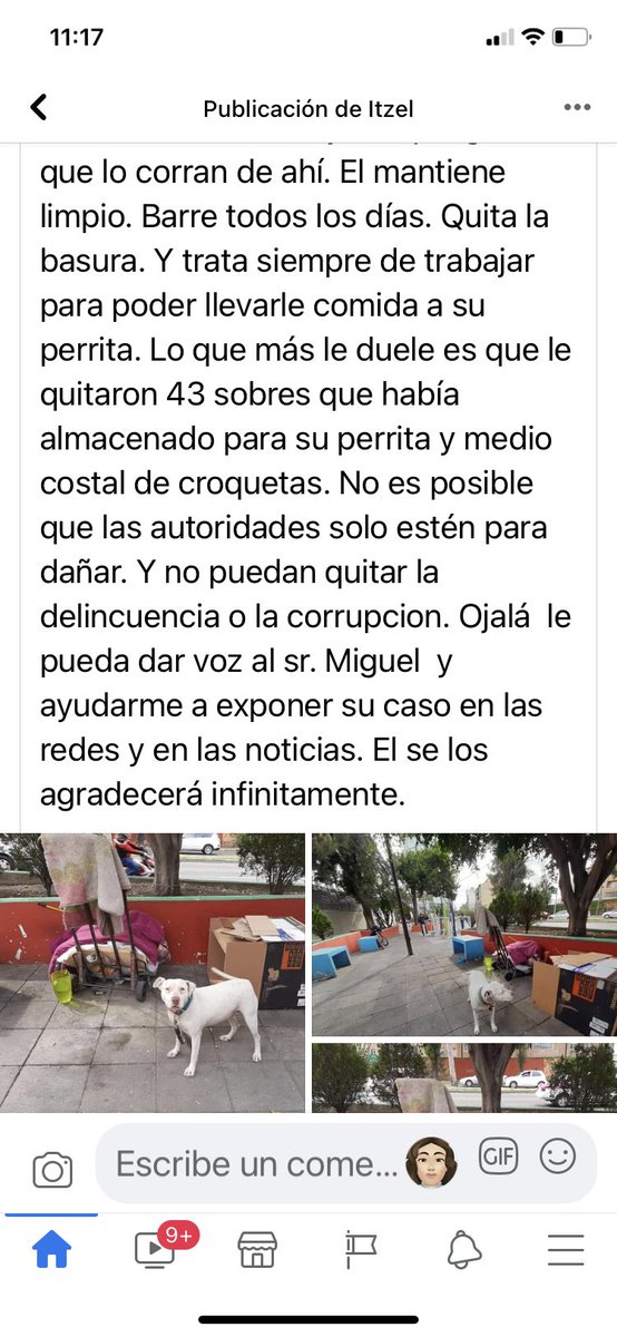 rumabo1's tweet photo. El abuso de la autoridad con un sr de la 3ra edad que su única compañía es una perrita sorda. El necesita un refugio,un hogar junto con su perrita,es limpio @Claudiashein y los de la delegación le quitan sus cosas no se vale el abuso @DefensaAnimal , los vecinos lo ayudan,empatía https://t.co/kFUrDCMw8E