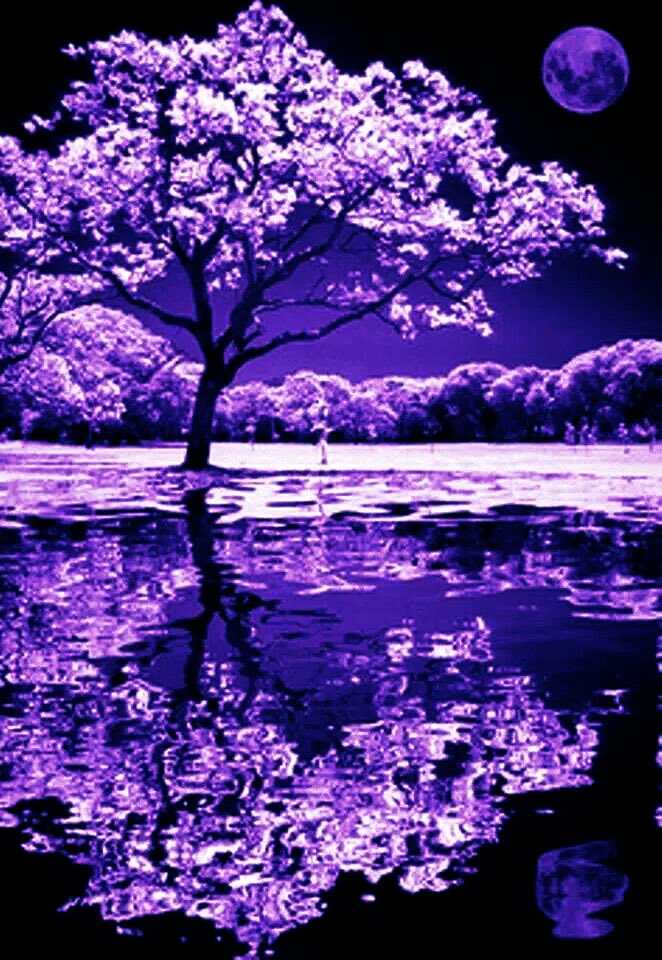 Tinagchr's tweet photo. Purple☔️ #FridayFeeling #naturelovers #colorush #Motivation 💦 https://t.co/mjmyZ0xpUM