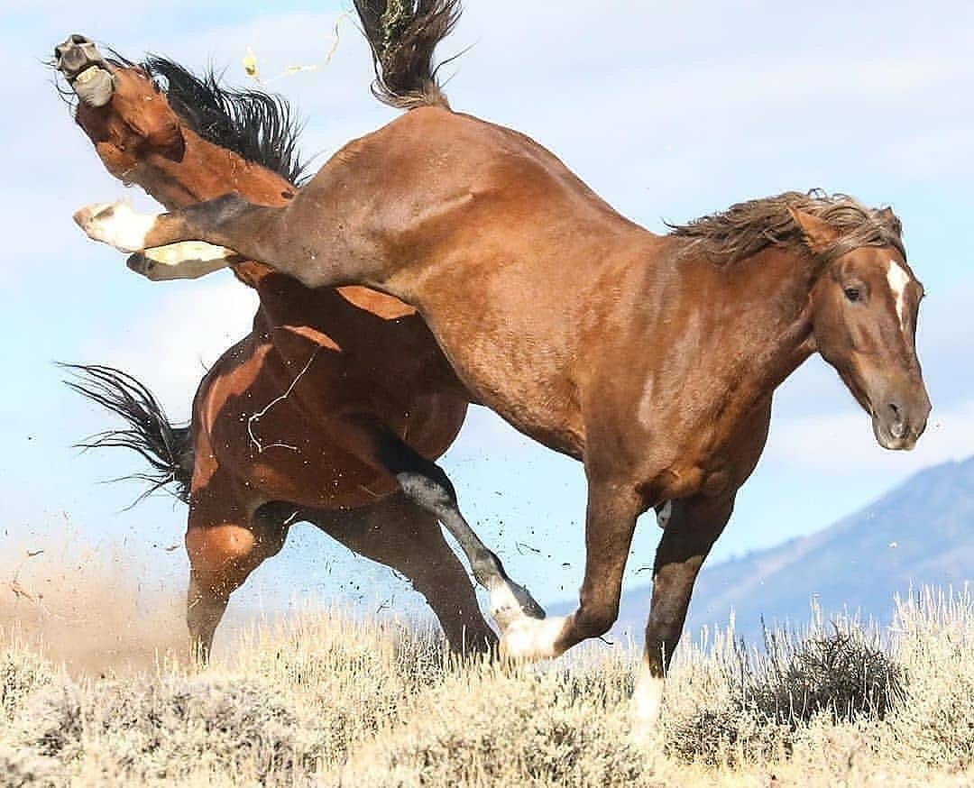 [Resim: Eryi-hVW8AcLXtY?format=jpg&name=medium]