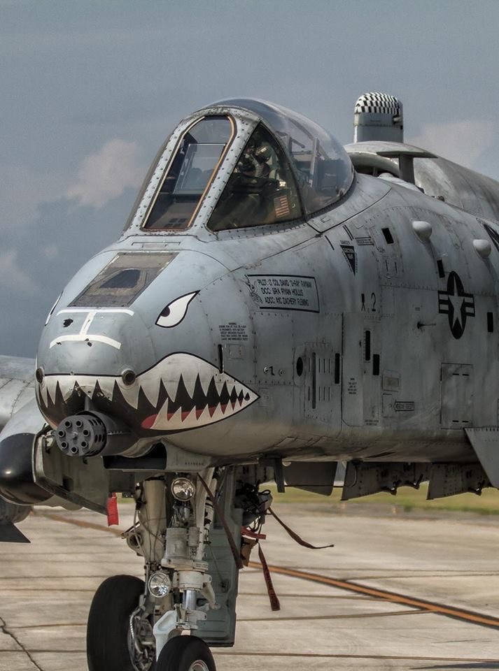 JESUSITO DE MI VIDA, ¡JESÚS, QUÉ VIDA LLEVO! CAPÍTULO 13. Aterrizar en el Kandahar Airfield (KAF) supuso también el aterrizaje en la cruda realidad del teatro. No es que tomásemos tierra, es que nos “jartamos” de ella. Polvo a saco, y no precisamente del que alguno está pensando.