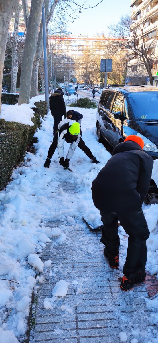 Alcorcón Rugby tweet media