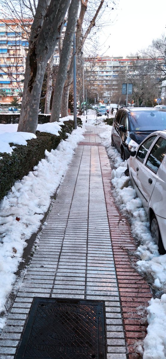 Alcorcón Rugby tweet media