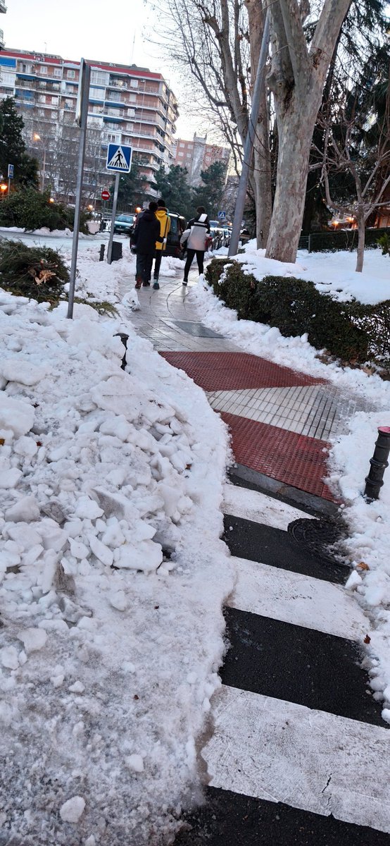 Alcorcón Rugby tweet media